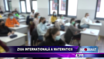 Ziua Internațională a Matematicii