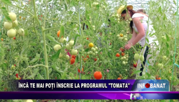 Încă te mai poți înscrie în programul „Tomata”