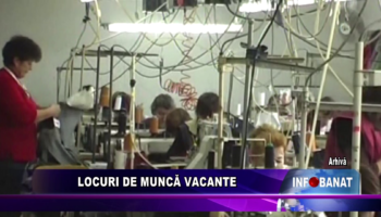 Locuri de muncă vacante