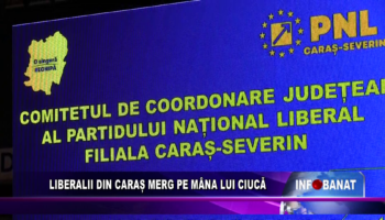 Liberalii din Caraș merg pe mâna lui Ciucă