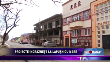 Proiecte îndrăznețe la Lăpușnicu Mare