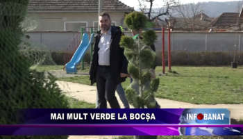 Mai mult verde la Bocșa