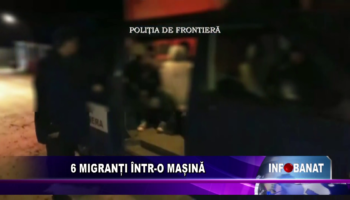 6 migranți într-o mașină