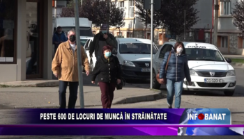 Peste 600 de locuri de muncă în străinătate