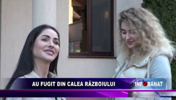 Au fugit din calea războiului