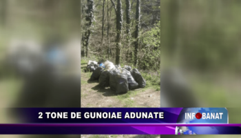 2 tone de gunoaie adunate