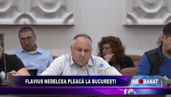 Flavius Nedelcea pleacă la București