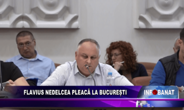 Flavius Nedelcea pleacă la București