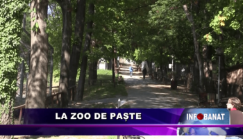La ZOO de Paște