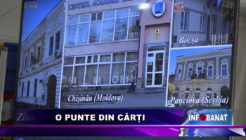 O punte din cărți