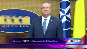 Studenții fac practică la Guvernul României