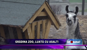 Grădina Zoo, luată cu asalt!