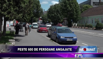 Peste 600 de persoane angajate