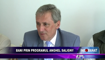 Bani prin programul Anghel Saligny