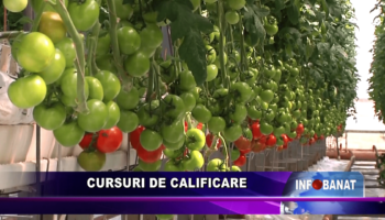 Cursuri de calificare