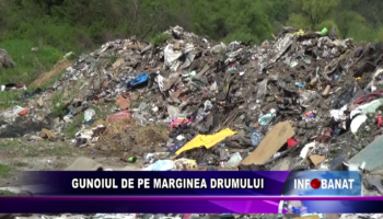 Gunoiul de pe marginea drumului