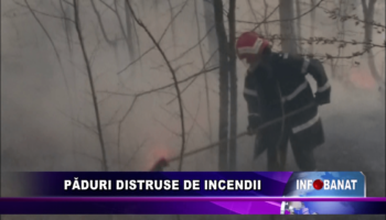 Păduri distruse de incendii