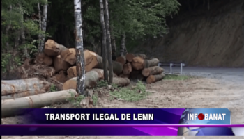 Transport ilegal de lemn
