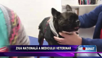 Ziua Naționala a Medicului Veterinar