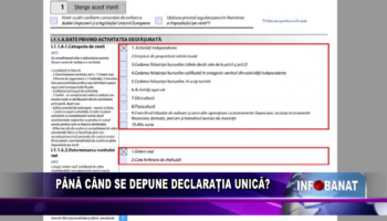 Până când se depune Declarația Unică?