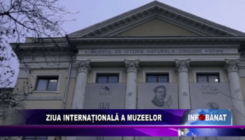 Ziua Internațională a Muzeelor