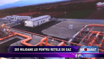 205 milioane lei pentru rețele de gaz