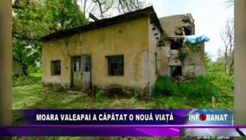 Moara Valeapai a căpătat o nouă viață