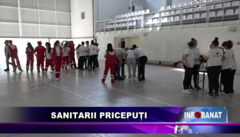 Sanitarii pricepuți