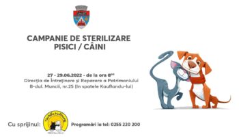 Campania de sterilizare pisici-câini