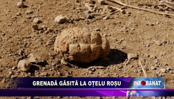 Grenadă găsită la Oțelu Roșu