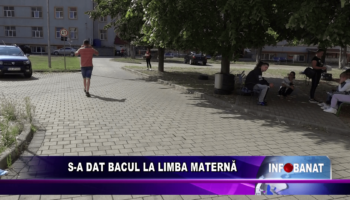 S-a dat bacul la limba maternă