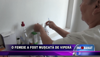 O femeie a fost mușcată de viperă