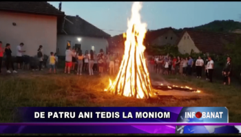 De patru ani TEDIS la Moniom