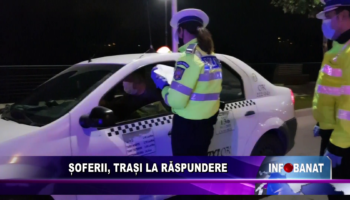 Șoferii, trași la răspundere