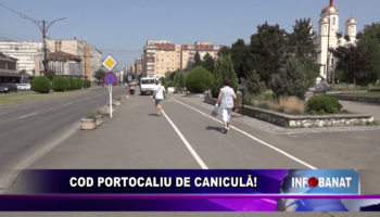 Cod portocaliu de caniculă!