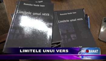 Limitele unui vers