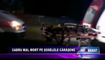 Cadru MAI, mort pe șoselele cărășene