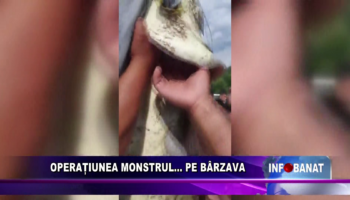 Operațiunea Monstrul…    pe Bârzava