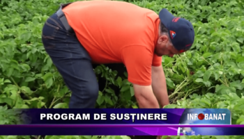 Program de susținere