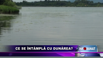 Ce se întâmplă cu Dunărea?