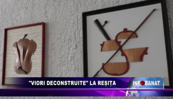 „Viori deconstruite” la Reșița