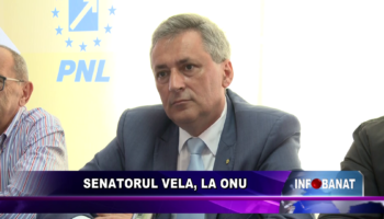 Senatorul Vela, la ONU