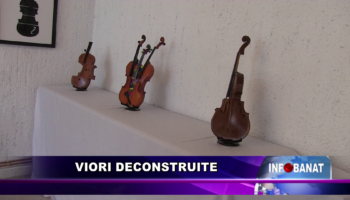 „Viori deconstruite”