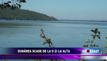 Dunărea scade de la o zi la alta