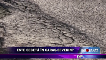 Este secetă în Caraș-Severin?