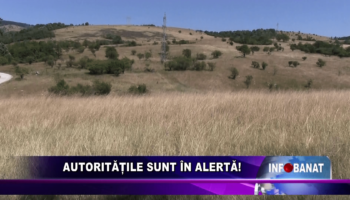 Autoritățile sunt în alertă!