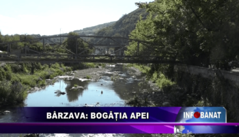 Bârzava: Bogăția apei