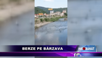 Berze pe Bârzava