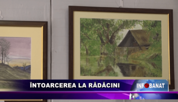 Întoarcerea la rădăcini