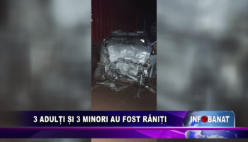 3 adulți și 3 minori au fost răniți